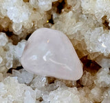 Rose Quartz Crystal Tumble ✨🩷🌹