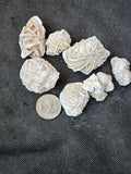 Desert Rose Specimen
