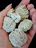 Desert Rose Specimen
