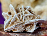 Desert Rose Specimen