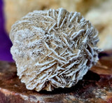 Desert Rose Specimen