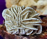 Desert Rose Specimen
