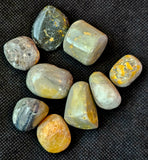 LG. Bumble Bee Jasper Crystal Tumble 🩶✨🍯🐝💛