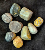LG. Bumble Bee Jasper Crystal Tumble 🩶✨🍯🐝💛