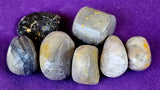 LG. Bumble Bee Jasper Crystal Tumble 🩶✨🍯🐝💛