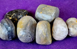 LG. Bumble Bee Jasper Crystal Tumble 🩶✨🍯🐝💛