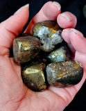 Chalcopyrite Crystal aka Tumbled Peacock Ore ⚜️🦚✨🤩