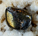 Chalcopyrite Crystal aka Tumbled Peacock Ore ⚜️🦚✨🤩