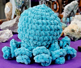 'Sea Green' Octobaby Plushie 🪸🌊🐟💙