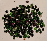 Zoisite & Ruby Crystal Chips 💚🖤❤️