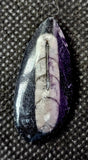 SM. Orthoceras Fossil Mineral 🤍🪨🐚🦪🦐🖤