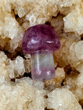 Rainbow Fluorite Crystal Mini Mushroom 🍄🌈🍄💜