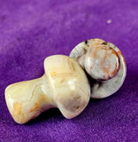 Crazy Lace Agate Crystal Mini Mushroom 🍄💛🍄