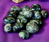 Kambaba Jasper Round Crystal Tumble 💚✨🤩🖤