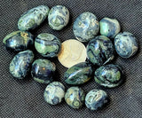Kambaba Jasper Round Crystal Tumble 💚✨🤩🖤
