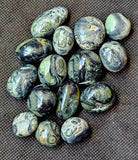 Kambaba Jasper Round Crystal Tumble 💚✨🤩🖤