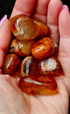 Snakeskin Fire Agate Crystal Tumble 🐍😍🔥✨
