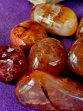 Snakeskin Fire Agate Crystal Tumble 🐍😍🔥✨