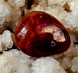 Snakeskin Fire Agate Crystal Tumble 🐍😍🔥✨