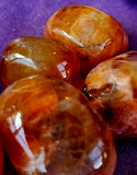 Snakeskin Fire Agate Crystal Tumble 🐍😍🔥✨