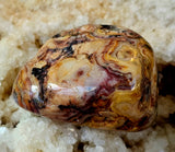 Crazy Lace Agate Crystal Tumble ❤️✨🧡