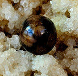 Chiastolite aka Cross Crystal Tumble ✨🍂🪵😍