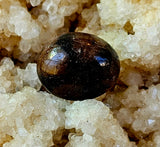 Chiastolite aka Cross Crystal Tumble ✨🍂🪵😍