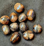 Chiastolite aka Cross Crystal Tumble ✨🍂🪵😍