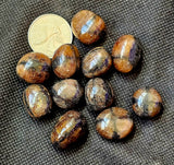 Chiastolite aka Cross Crystal Tumble ✨🍂🪵😍