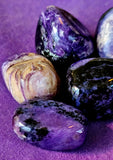 Charoite Crystal Tumble 🐈‍⬛✨💜🤯