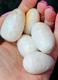 LG. White Snow Agate Egg Shaped Crystal Tumble 🥚🤍🐻‍❄️