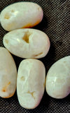LG. White Snow Agate Egg Shaped Crystal Tumble 🥚🤍🐻‍❄️