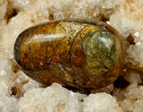 Sedimentary Jasper Crystal Tumble 💙🤎🧡💚