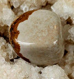 LG. Picture Jasper Crystal Tumble ✨🍂🪵