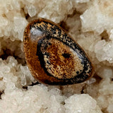 LG. Picture Jasper Crystal Tumble ✨🍂🪵