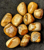 LG. Picture Jasper Crystal Tumble ✨🍂🪵