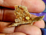 Raw SM. Desert Selenite Gypsum Crystal Specimen 🏜️⏳🐪🏝️