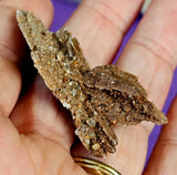 Raw SM. Desert Selenite Gypsum Crystal Specimen 🏜️⏳🐪🏝️