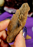 Raw SM. Desert Selenite Gypsum Crystal Specimen 🏜️⏳🐪🏝️