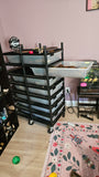 Lots of Ball Pythons + 7 Tub Extra Large Rack System & Thermostat