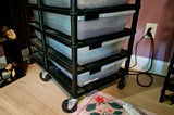 Lots of Ball Pythons + 7 Tub Extra Large Rack System & Thermostat