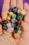 Assorted Crystal Mini Mushrooms