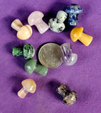 Assorted Crystal Mini Mushrooms