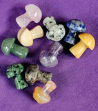 Assorted Crystal Mini Mushrooms