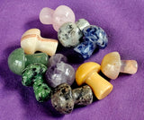 Assorted Crystal Mini Mushrooms