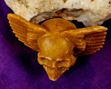Yellow Jasper Crystal Skull w/Wings Carving 💀🪽🟡💛