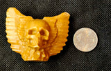 Yellow Jasper Crystal Skull w/Wings Carving 💀🪽🟡💛