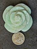 Jade Crystal 3D Carved Rose Carving ✨🥀🌹🤩🍃💚
