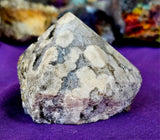 LG. Partially Polished/Raw Flower Agate Crystal Point 💎🌸🌷