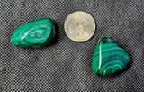 Genuine Malachite Crystal Tumble 🌱💚🍃